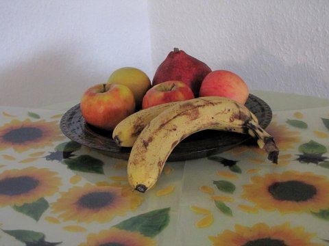 "Hugo37" - Ihr Obstteller